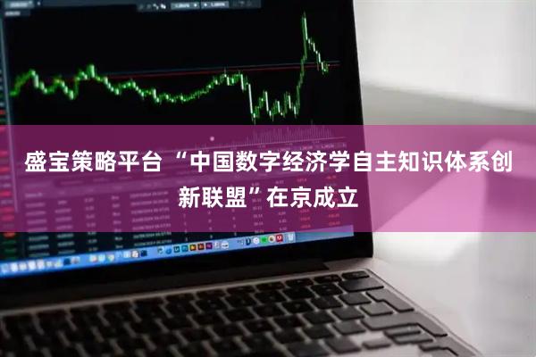 盛宝策略平台 “中国数字经济学自主知识体系创新联盟”在京成立