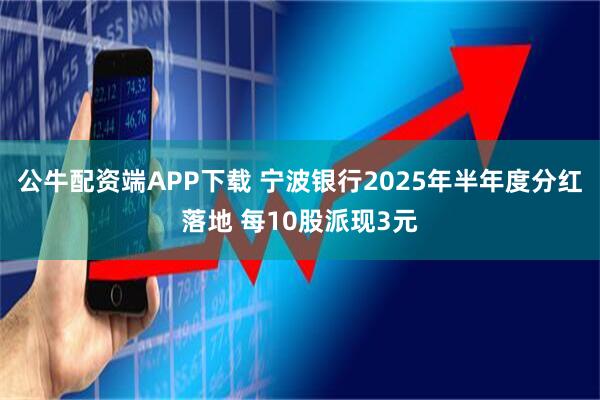 公牛配资端APP下载 宁波银行2025年半年度分红落地 每10股派现3元